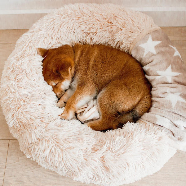 Long Plush Donut Bagel Vegan Dog Bed at The Honest Dog