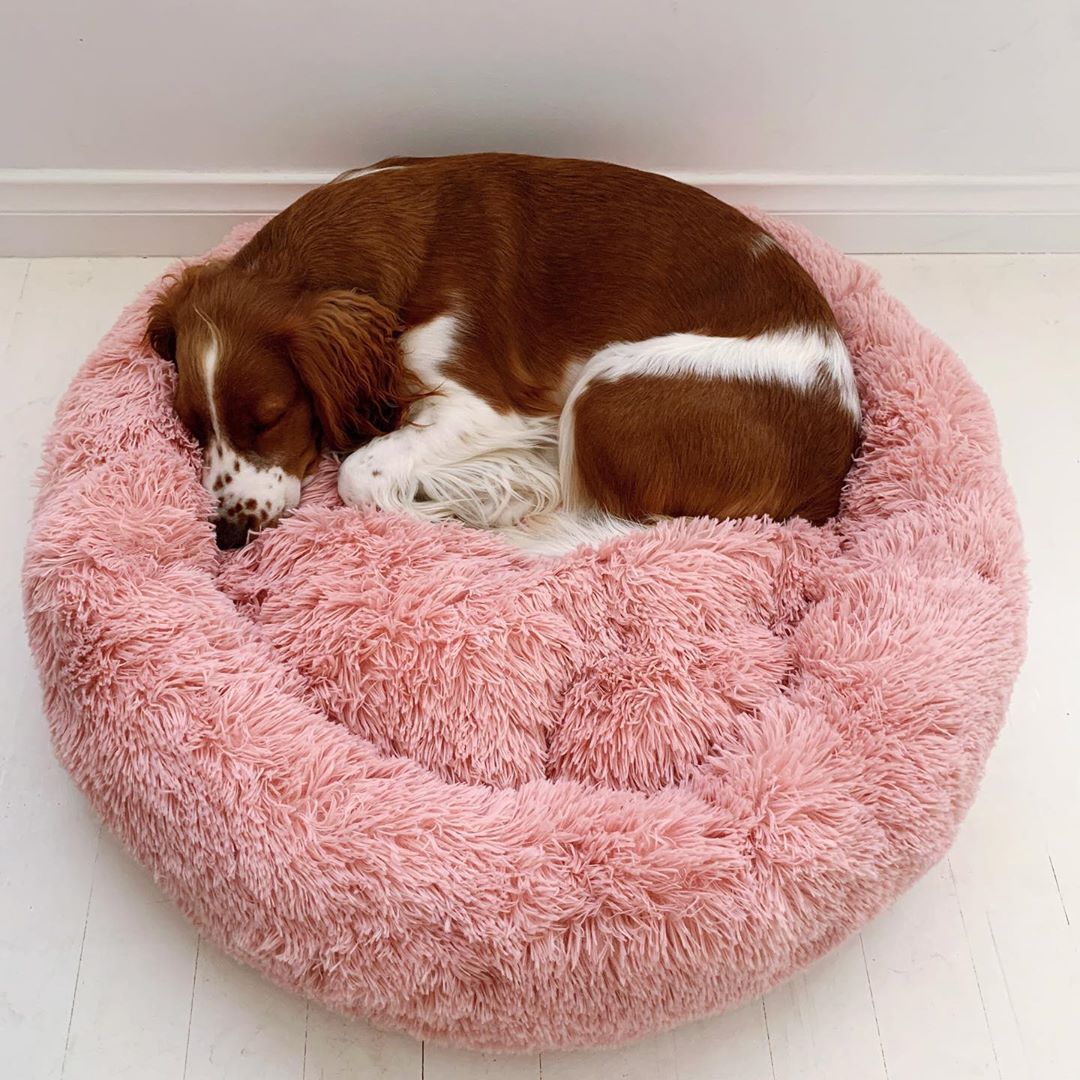 Long Plush Donut Bagel Vegan Dog Bed at The Honest Dog