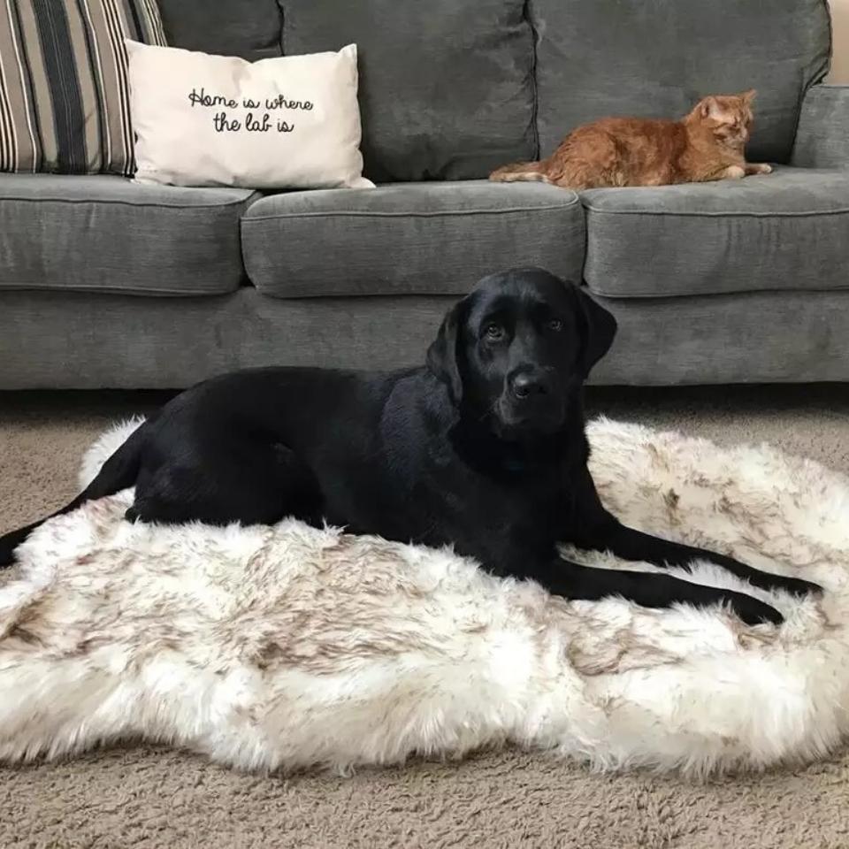 Vegan fur deals dog bed
