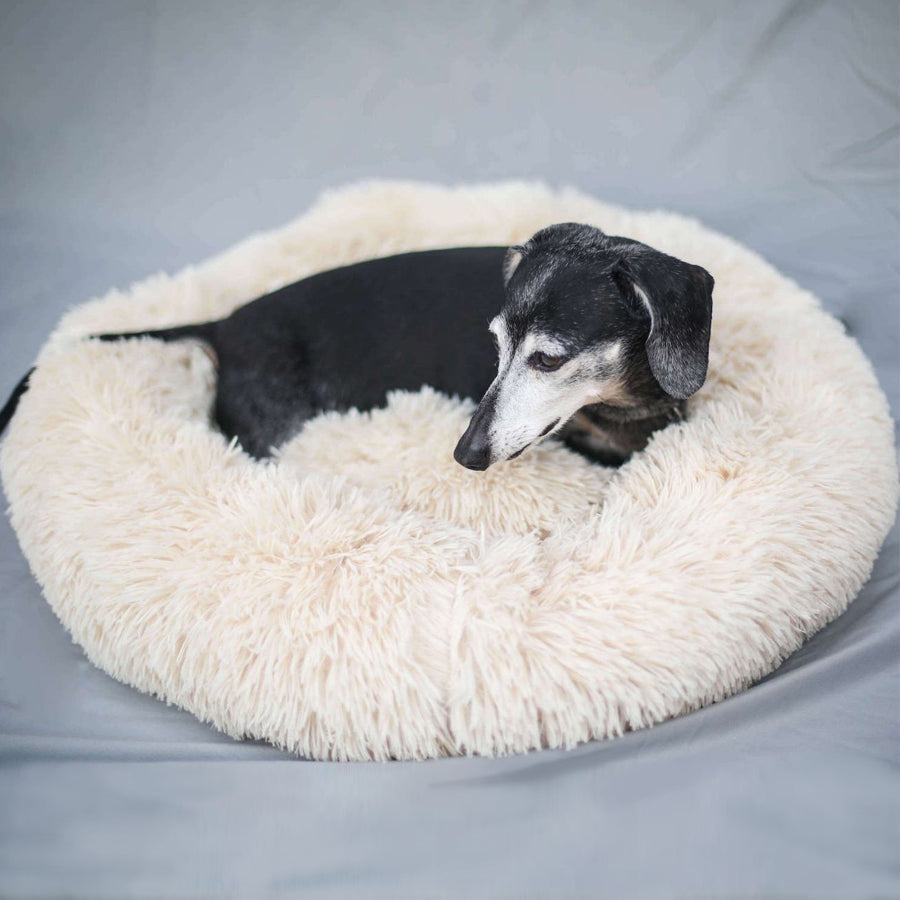 Long Plush Donut Bagel Vegan Dog Bed at The Honest Dog