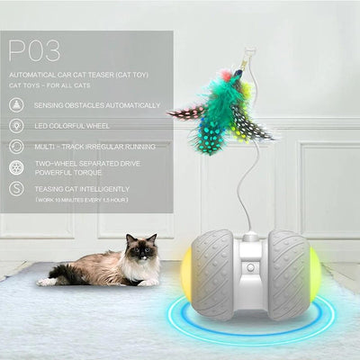 iPet Best Interactive Cat Toy
